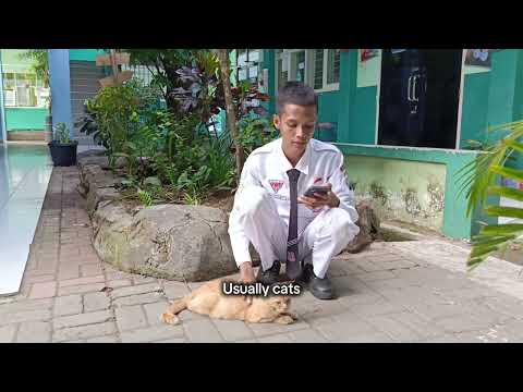 factual reported text CAT #smkn1pasuruan #kimiaanalisis