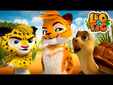 Leo and Tig - The Best Runner 👟 Cartoon for kids Kedoo Toons TV