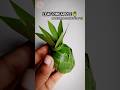 How To Make A Pineapple From Coconut Leaf Easy DIY Shorts