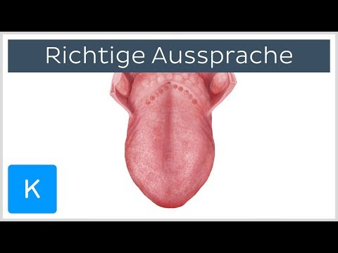 Anatomische Begriffe richtig aussprechen: 4 Tipps - Anatomie des Menschen | Kenhub