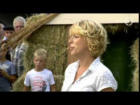 Zomer in Gelderland 26 augustus 2015 - 2015