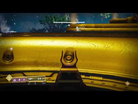 Destiny 2 mit freunden zocken