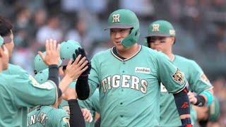 ⚾大山悠輔、沈黙を破る覚醒弾…甲子園が震えた瞬間🔥#阪神タイガース #大山悠輔 #プロ野球 #ホームラン #甲子園 #交流戦 #NPB #野球ハイライト #感動スポーツ 