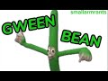 Gween Bean Whatchu Mean