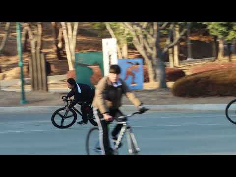 Fixed gear in korea