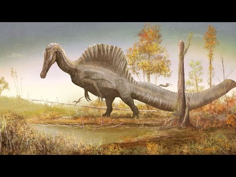 Paleo Profiles: Spinosaurus Aegyptiacus