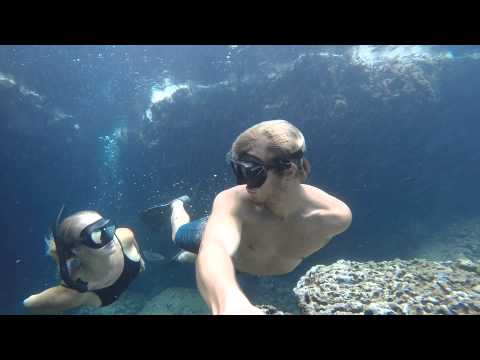 FREEDIVE // Exploring Queensland and Hawaii, and its incredible underwater world