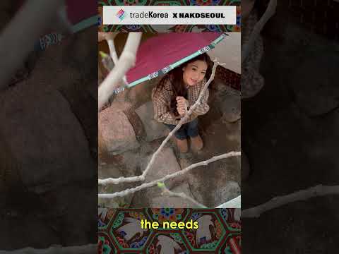 [K-Product] The best Korean products you can only meet on tradeKorea.com: Dancheong Umbrella