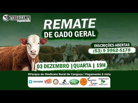 REMATE DE GADO GERAL - CANGUÇU | TERRA&CAMPO NEGÓCIOS RURAIS
