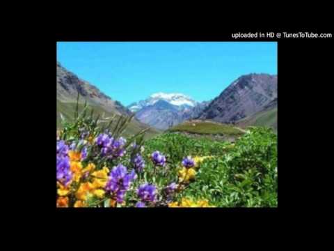 Today's Tango Is... Rincón Florido - Francisco Canaro 08-11-1937