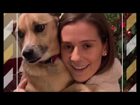 in Loving Memory Of Our Ollie🐾