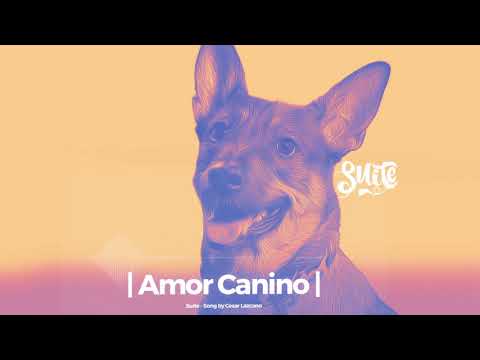 Suite - Amor Canino (AUDIO)