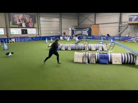 Spotify training B.A.C.K course by Daniel Walz