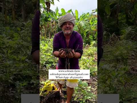 Unlock Rich Soil: Simple Permaculture for Healthy Earth