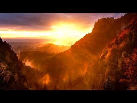 I Don't Wanna Wait  -  spring gang feat. Eija