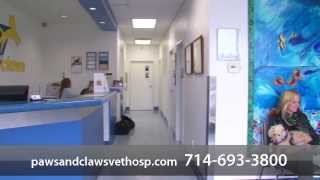 preview picture of video 'Paws 'n' Claws Veterinary Hospital - Short | Yorba Linda, CA'