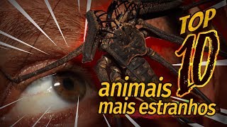Miniatura do vídeo