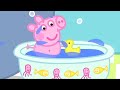 Peppa Gris Baby Alexander Tegnefilmer For Barn