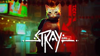 ゲーム配信『Stray』➁【ワイエス】