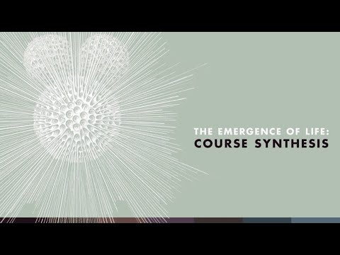 The Emergence of Life: Course Synthesis