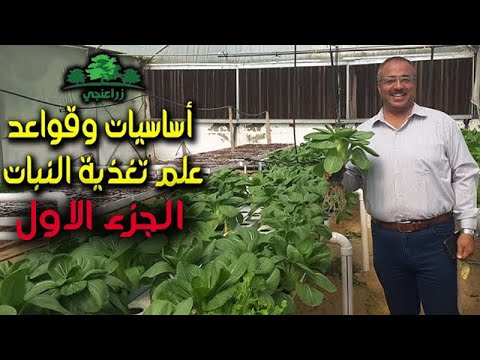, title : 'د.ياسر عبد الحكيم | أساسيات وقواعد علم تغذية النبات'