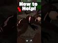 How To HELP The Injured Deer In The New 99 Nights Update
