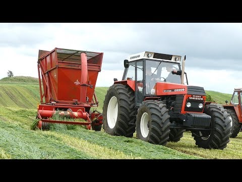 Ursus 1614 de luxe Working Hard in The Field Cutting Grass w/ Taarup 603 Forage Harvester | DK Agri