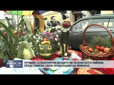 Новости Псков 25.09.2018 Лучшие производители с/х Псковского района представили продукцию на ярмарке 