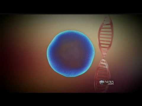 Has a living cell ever been created?