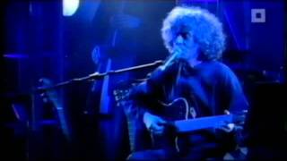 Angelo Branduardi - Il Dono Del Cervo (Live @Antwerpen)