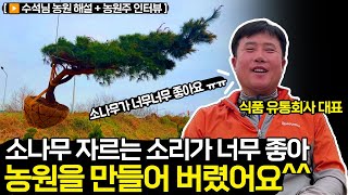소나무 전지 실컷 하시라고 농원 만들어 드렸습니다｜정원 조성과 식재 해설까지