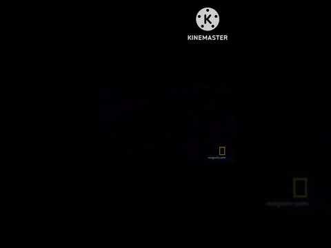 Wario Dies in the Big Bayou Canot Train Crash (RIVERSIDE COUNTRY RAILFAN BIRTHDAY SPECIAL)