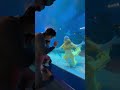 Mermaid Cium Anaknya Dari Dalam Aquarium💕