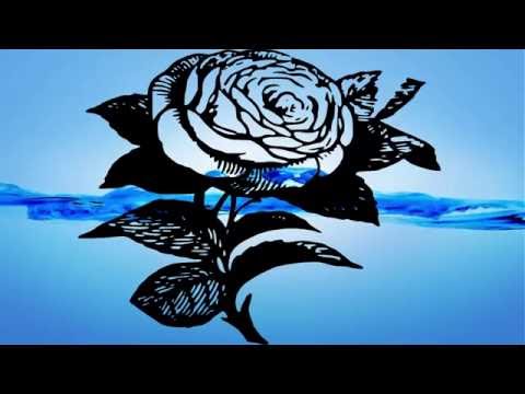 Black and White Pictures of Flowers