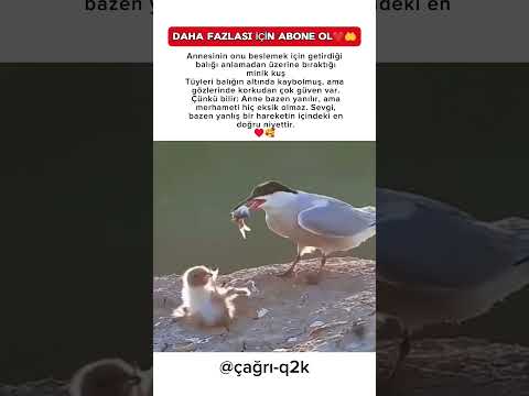 Bu kare, sevginin ne olduğunu kelimesiz gösteriyor♥️🥰