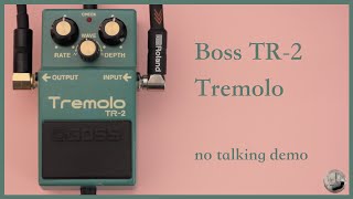 Video thumbnail for Boss TR-2 - Tremolo - No Talking Demo by Borrowing Space