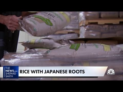 The legacy of Koda Farm's rice - How a Japanese immigrant built an enterprise in early 1900s