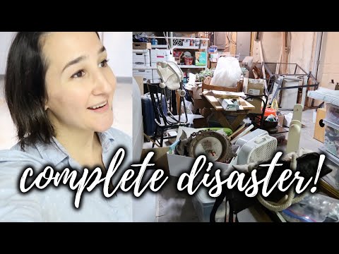 Our BIGGEST Organizing Project Yet!