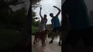 Dog is confused. 犬困惑中。#shorts #これ出来る？ #じんたん #おすすめ #ショート動画