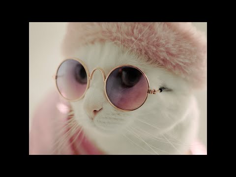 thumbnail-M'n Beessie en Ik [NL Trailer]