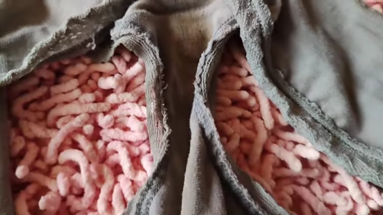 On Patreon, the content is more substantial and of higher quality compared to YouTube.🐷💕🍞🍞🌿