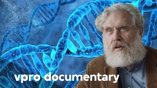 Life creation, life extension and alternative life forms