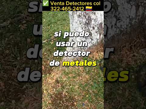 ¿Qué precauciones de seguridad debo tomar al buscar oro en playas?