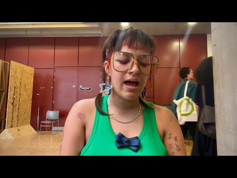 Fallback (cover) - catherine ireton