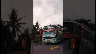 Download lagu STORY WA BUS EKA CEPAT || MBOIS mp3