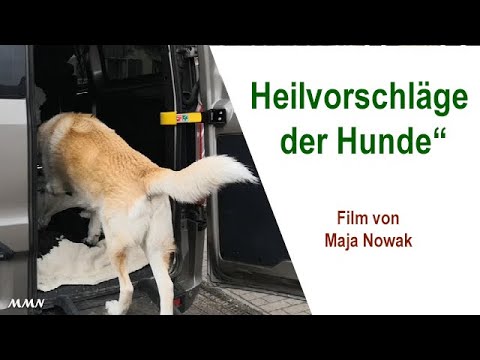 Heilvorschläge der Hunde - Film von Maja Nowak