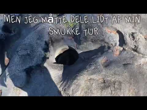 Udveksling i Oregon, USA🇺🇸🗻 -Tur til Rogue River🌊🍃🍁