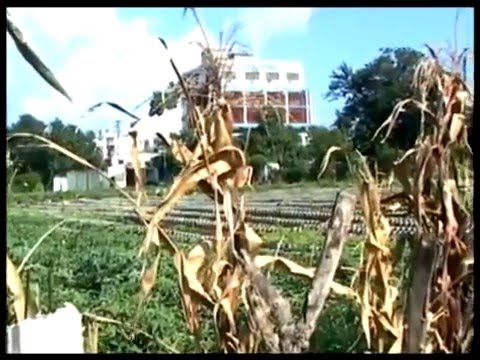 Kuba - A közösség ereje.