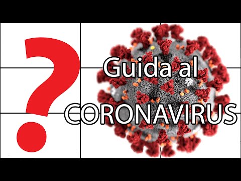 Guida pratica al CORONAVIRUS (e alle epidemie in generale) - Spiegazione