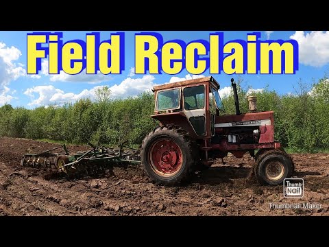 Reclaiming a Field/Brush Mowing/Plowing/Discing/Spreading Manure